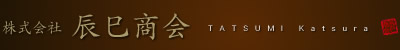 最高級 日本髪 かつら（花嫁、舞妓、芸者）タツミ かつらの製造・販売・レンタルの辰巳商会 TATSUMI KATSURA